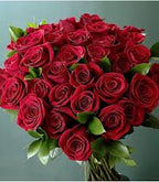 Premium Red Roses