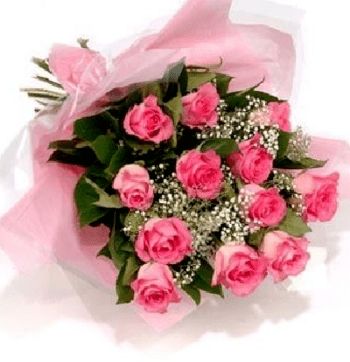 Dozen Pink Roses with Gypsophila