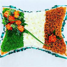 Irish Flag Pillow