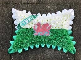 Y Ddraig Goch Pillow