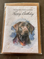 Seeded Greeting Cards