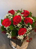 6 Red Naomi Roses